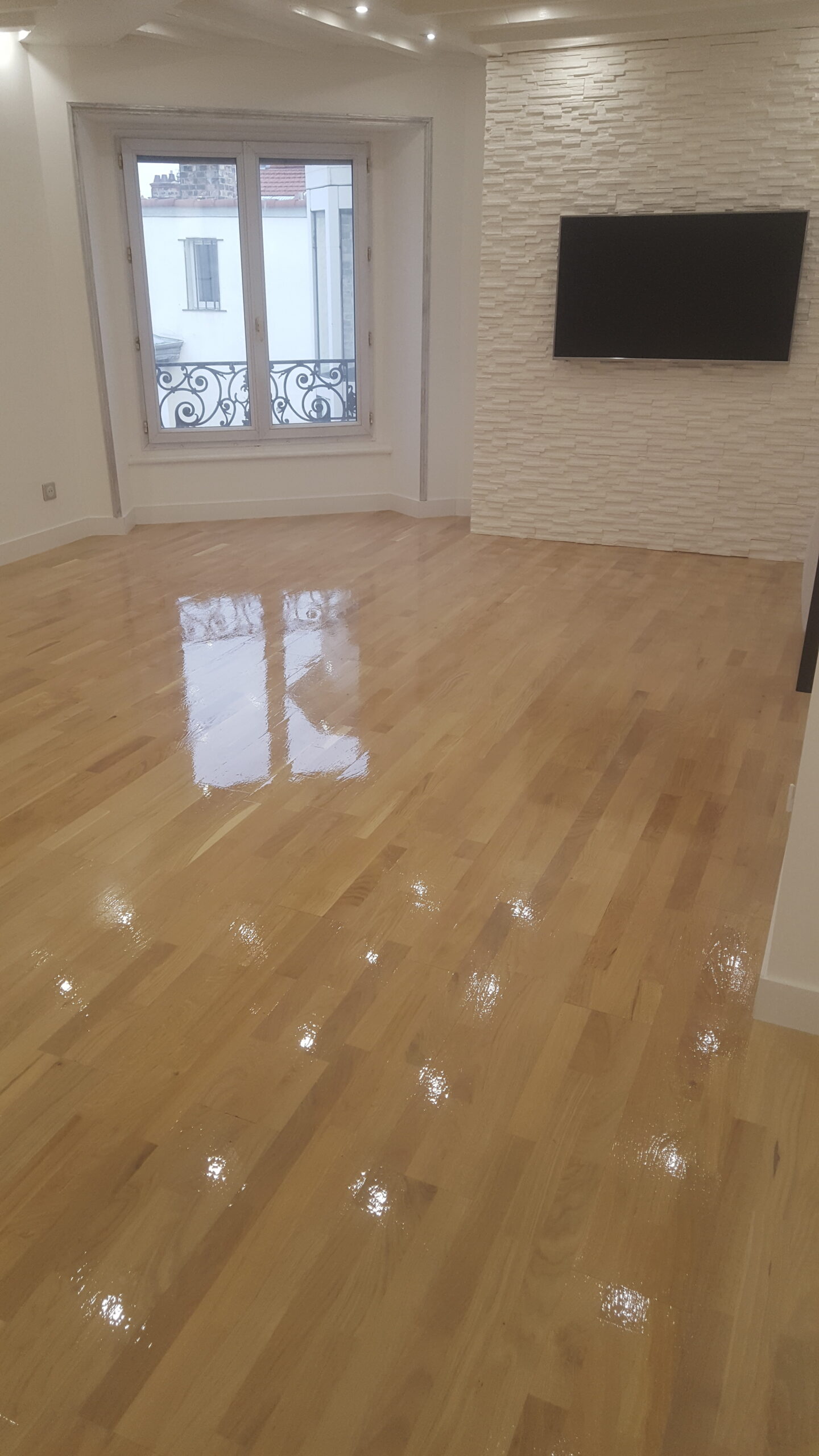 appartement-lyon-renovation(1)